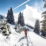 In Near Portes Du Soleil Area * Châtel