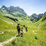 In Near Portes Du Soleil Area