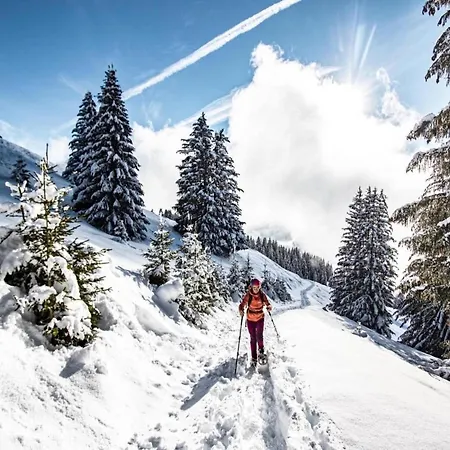 In Near Portes Du Soleil Area Apartmán Châtel