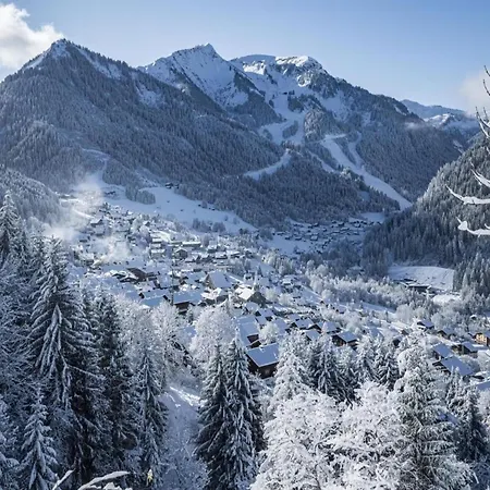Apartment In Near Portes Du Soleil Area *