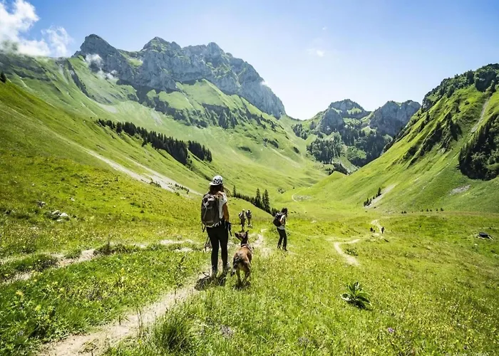 In Near Portes Du Soleil Area